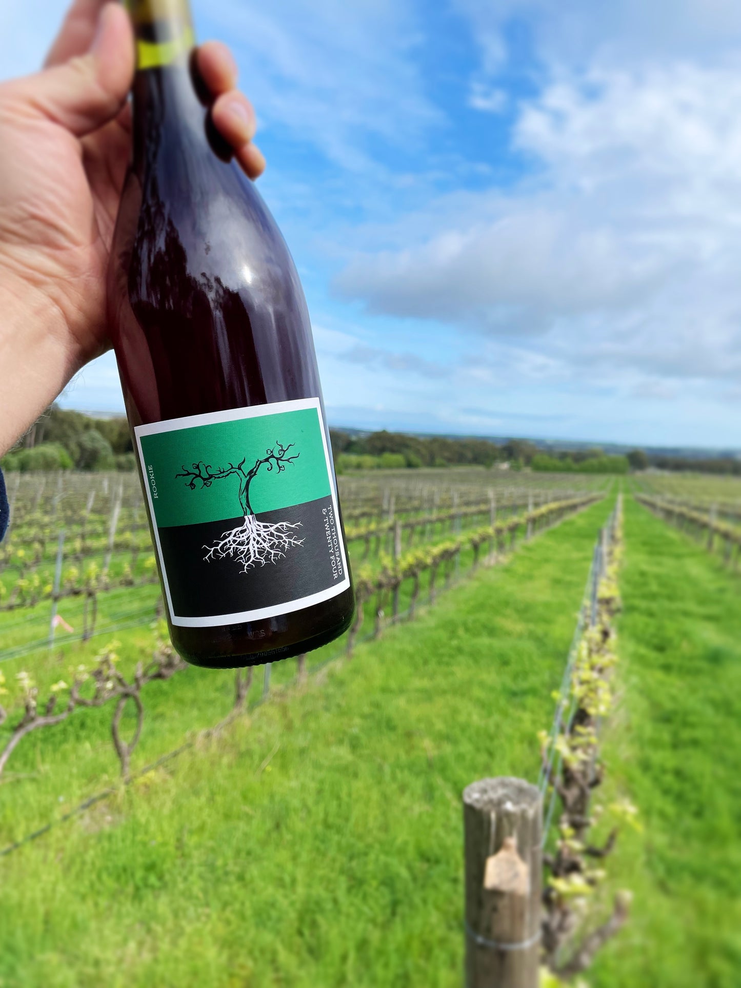 Rookie Grenache 2025