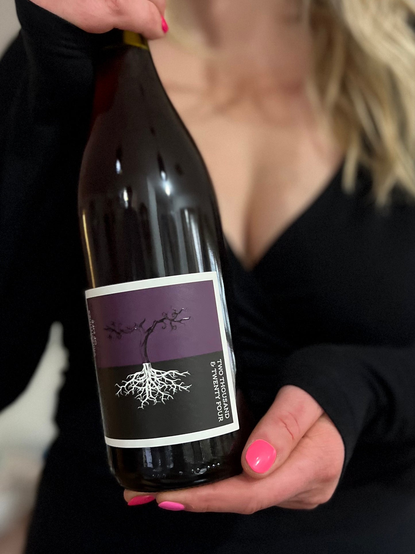 Vicissitudes of Life 2024 Pinot Blend