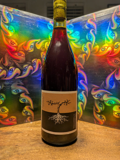 Dancing In The Doldrums 2025 Pinot Meunier