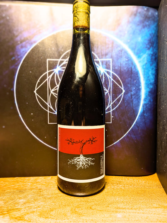 Norwegian Wood Gamay 2025